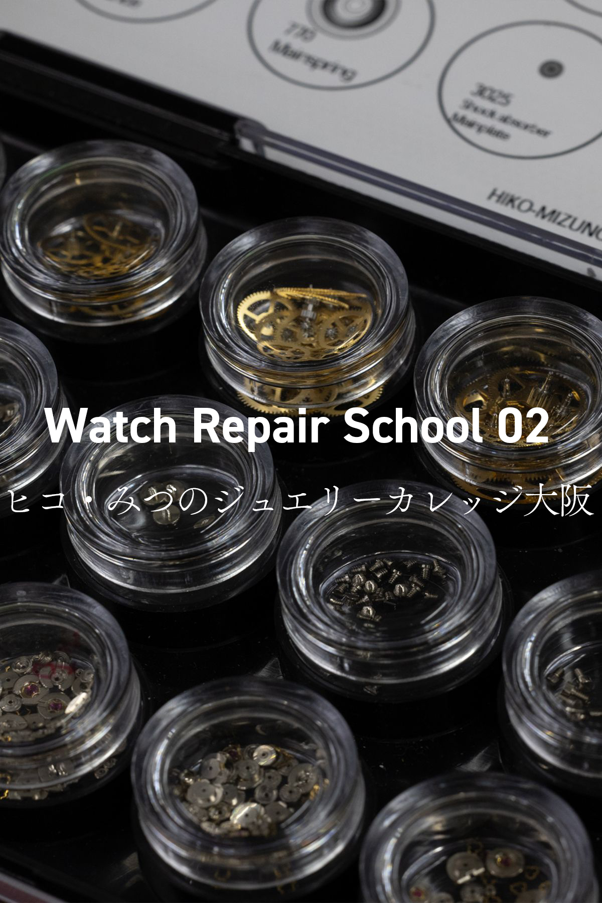 ヒコ・みづのジュエリーカレッジ大阪