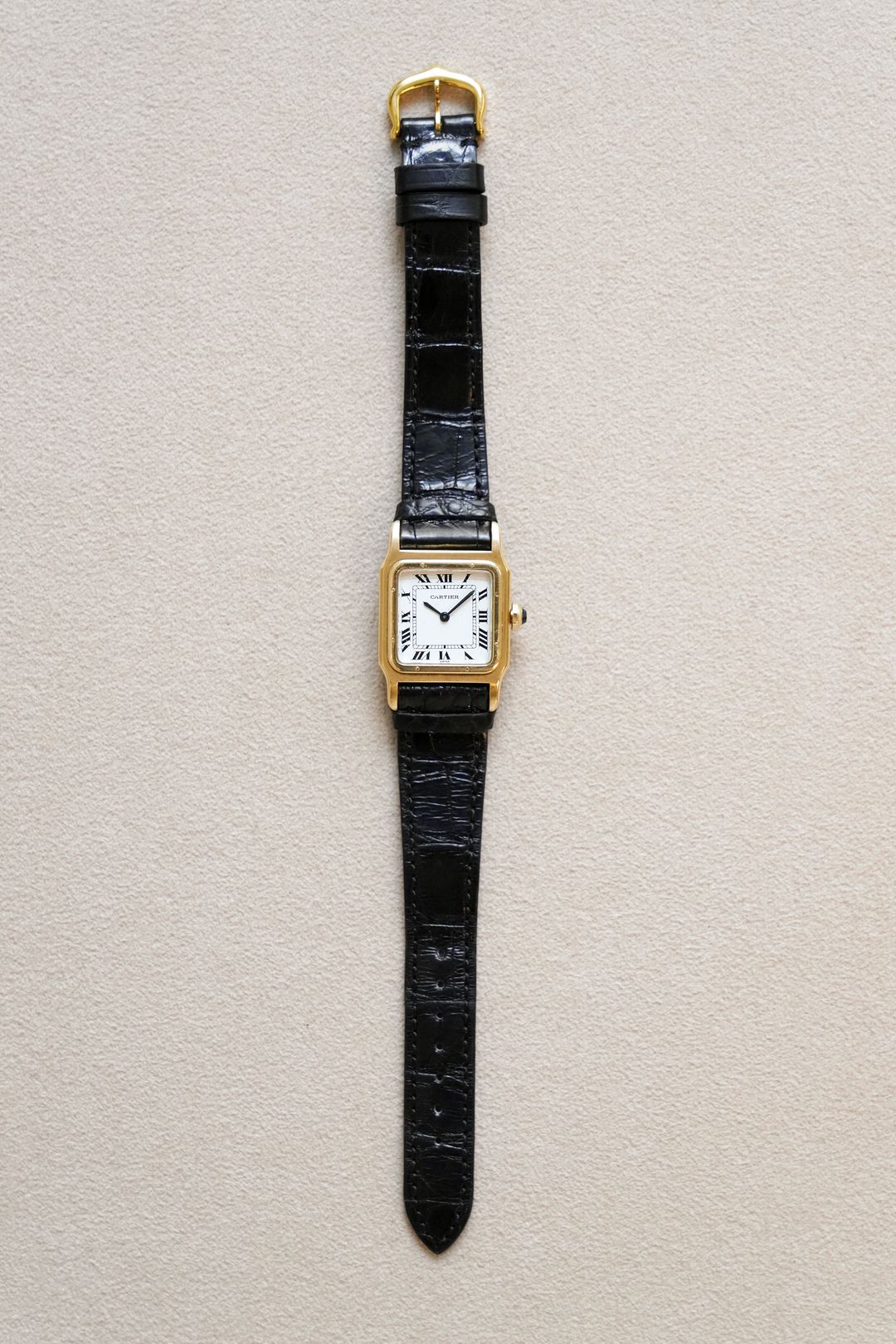 My Timeless Treasure｜10周年に集った10本の時計