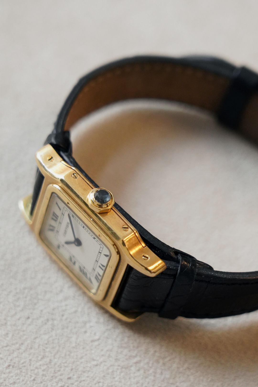 My Timeless Treasure｜10周年に集った10本の時計