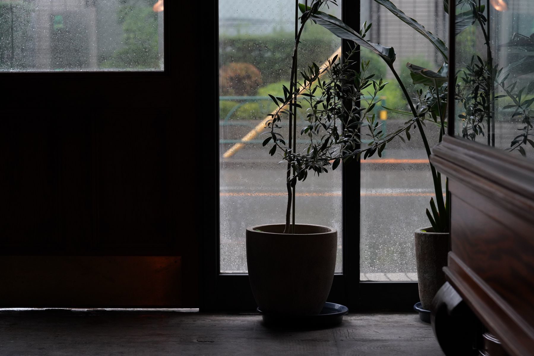 _34_https://eguchi-store.jp/ecw2507/_BK/wp-content/uploads/DSC09441.jpg