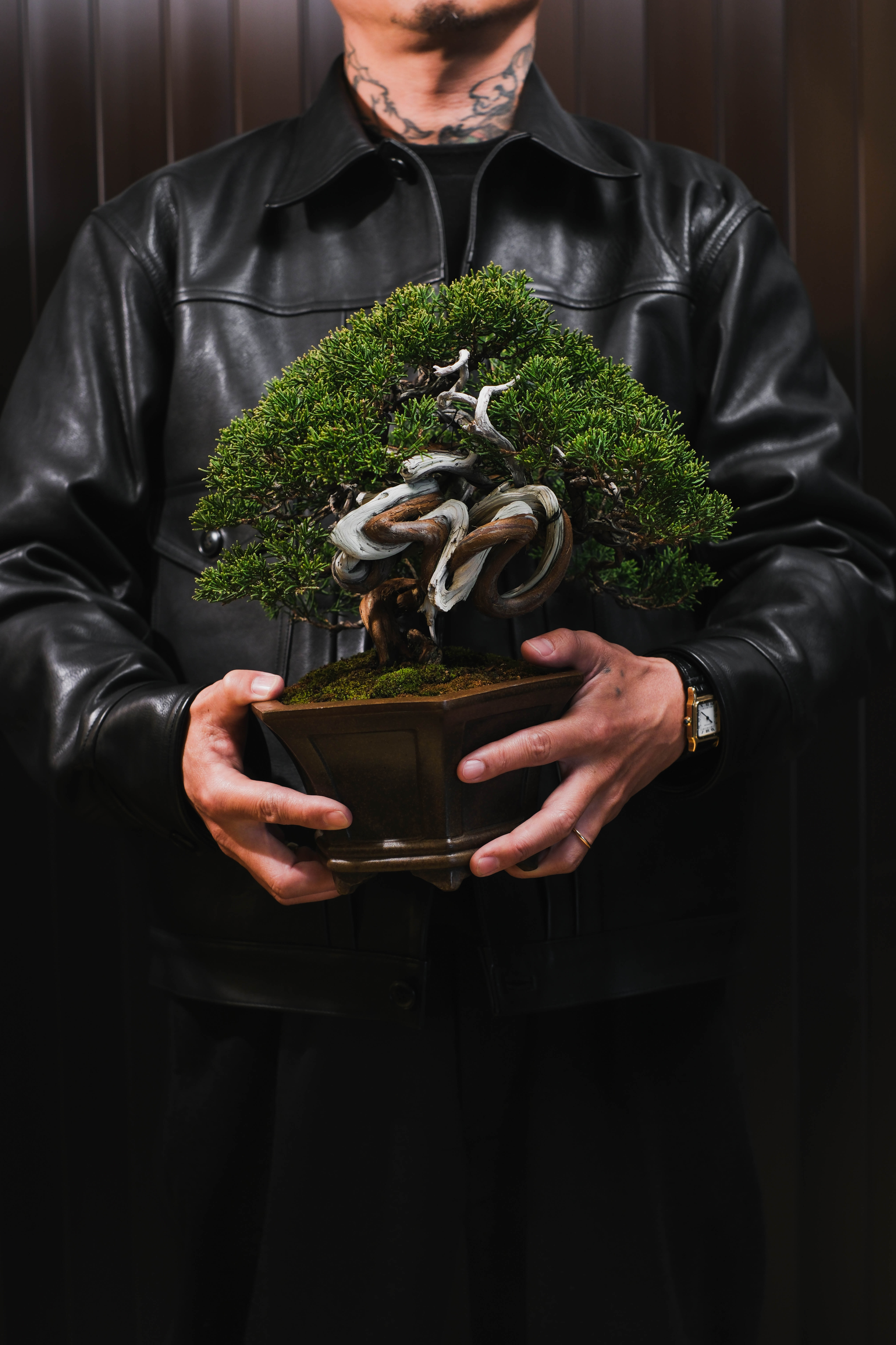 TRADMAN’S BONSAI EXHIBITION / POPUP STORE 2026.1.28 (Wed) -2.8 (Sun)