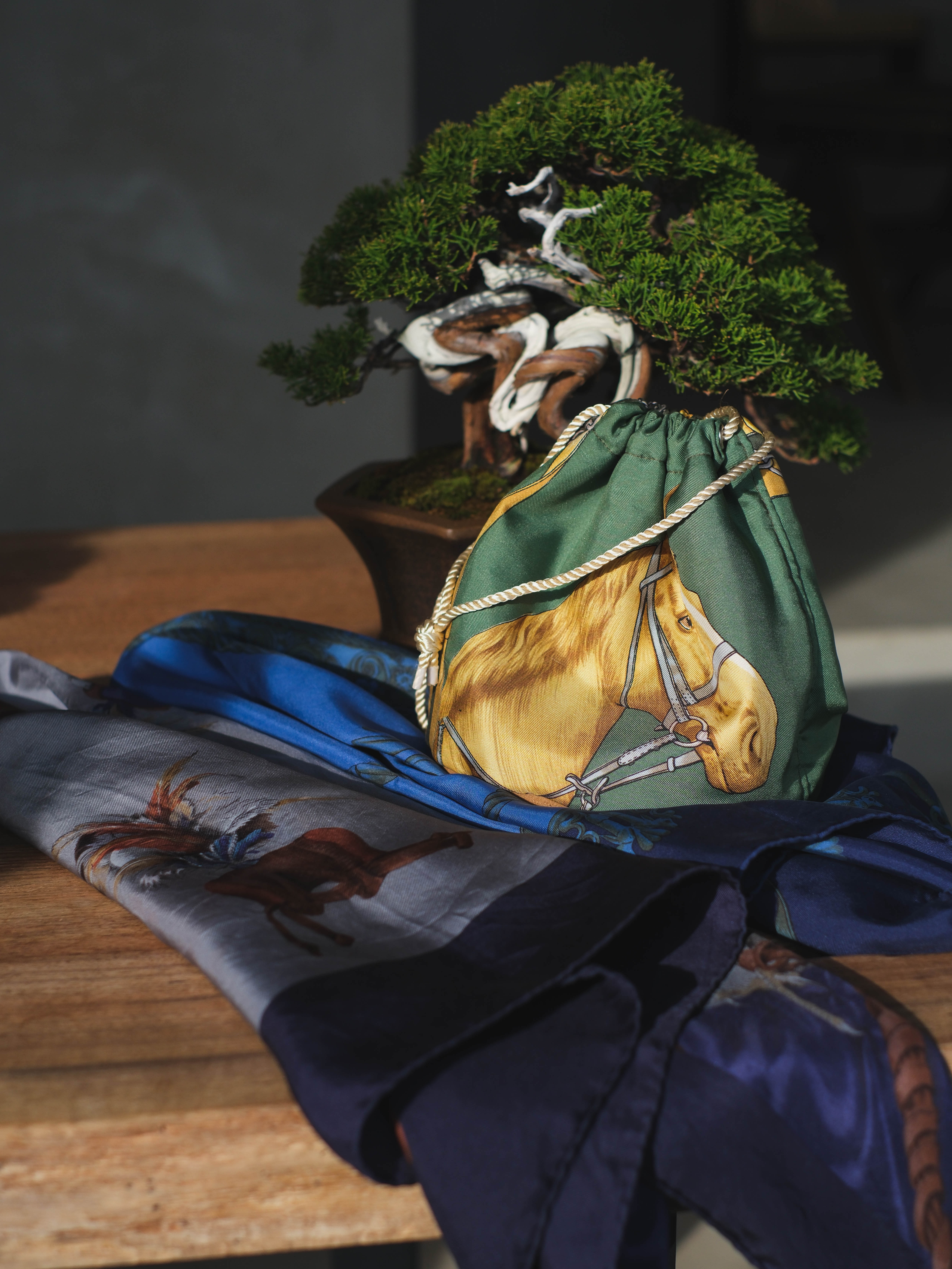 TRADMAN’S BONSAI EXHIBITION / POPUP STORE 2026.1.28 (Wed) -2.8 (Sun)