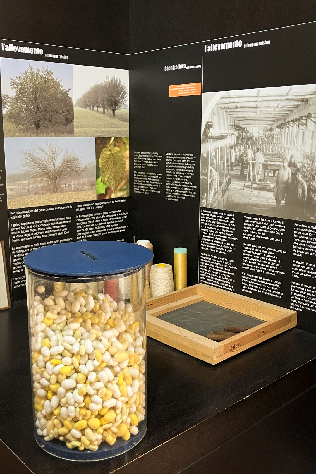 サン・レウチョに見る、ファッションの原点