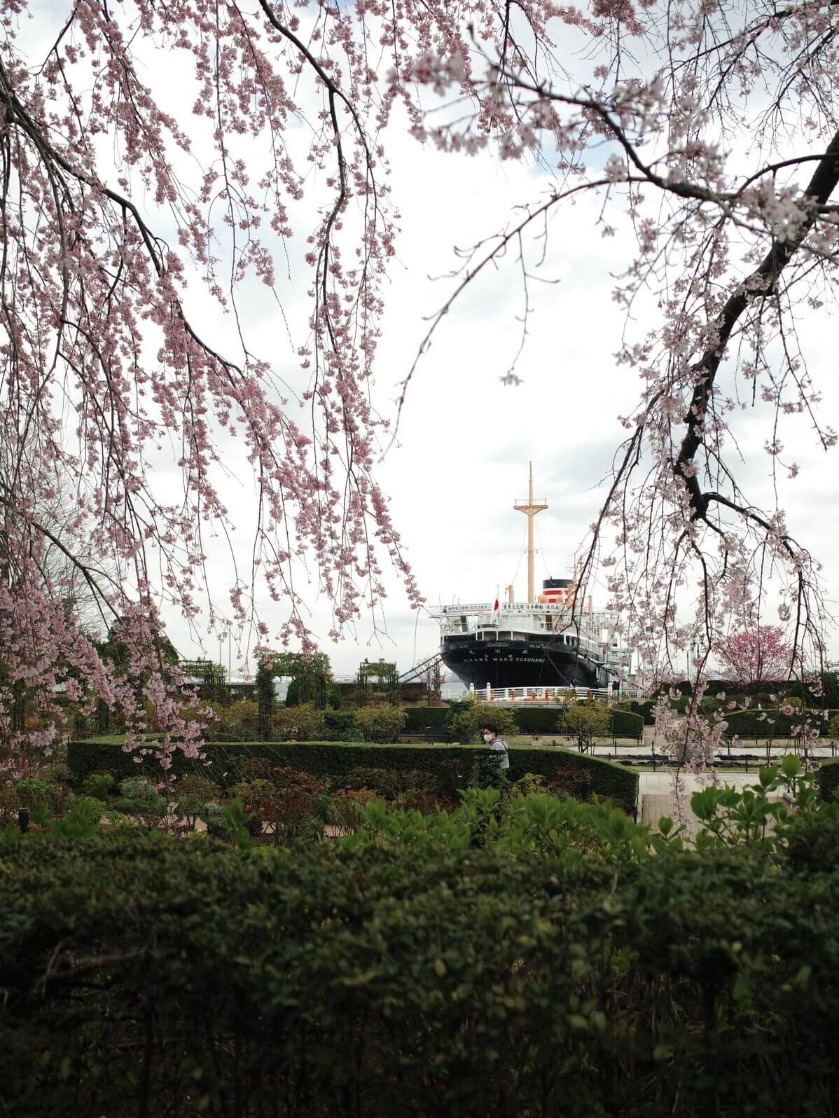  _147_https://eguchi-store.jp/ecw2507/eguchiwp/wp-content/uploads/R0005858-02.jpg