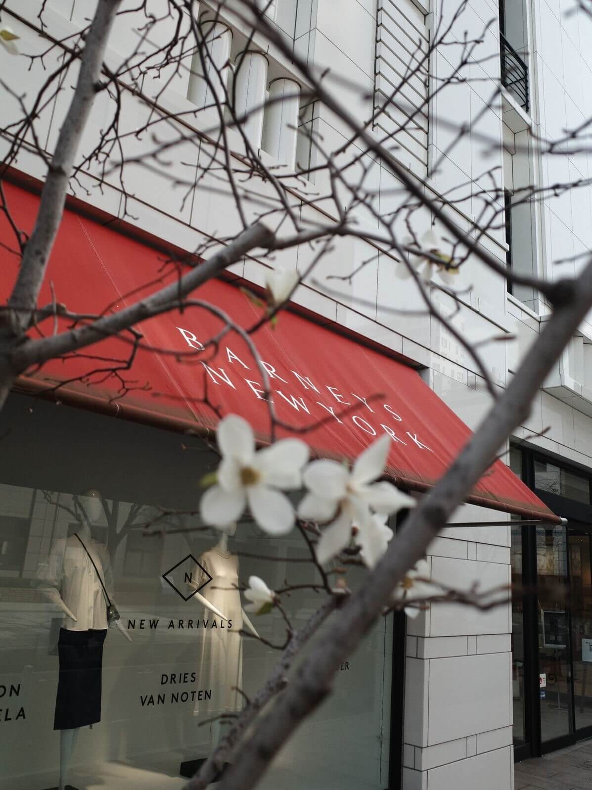  _287_https://eguchi-store.jp/ecw2507/eguchiwp/wp-content/uploads/R0005865-02.jpg