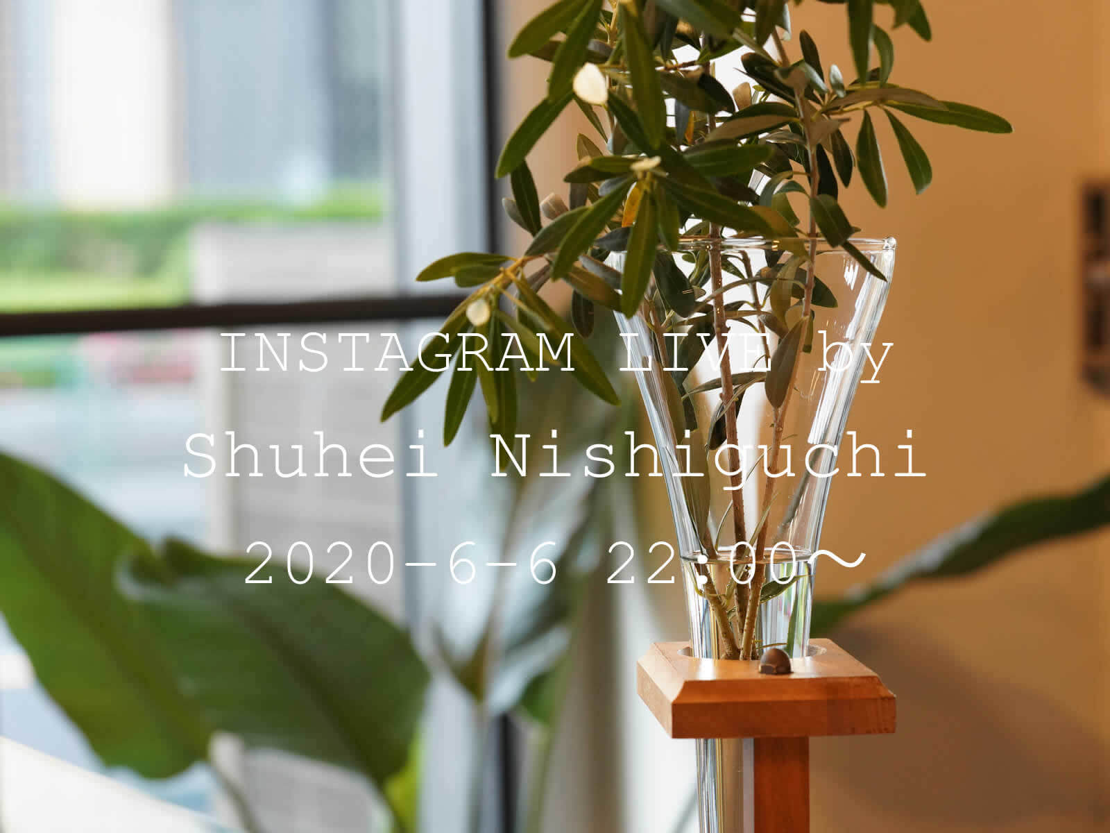 _452_https://eguchi-store.jp/ecw2507/_BK/wp-content/uploads/instalive-nishiguchi02-02.jpg