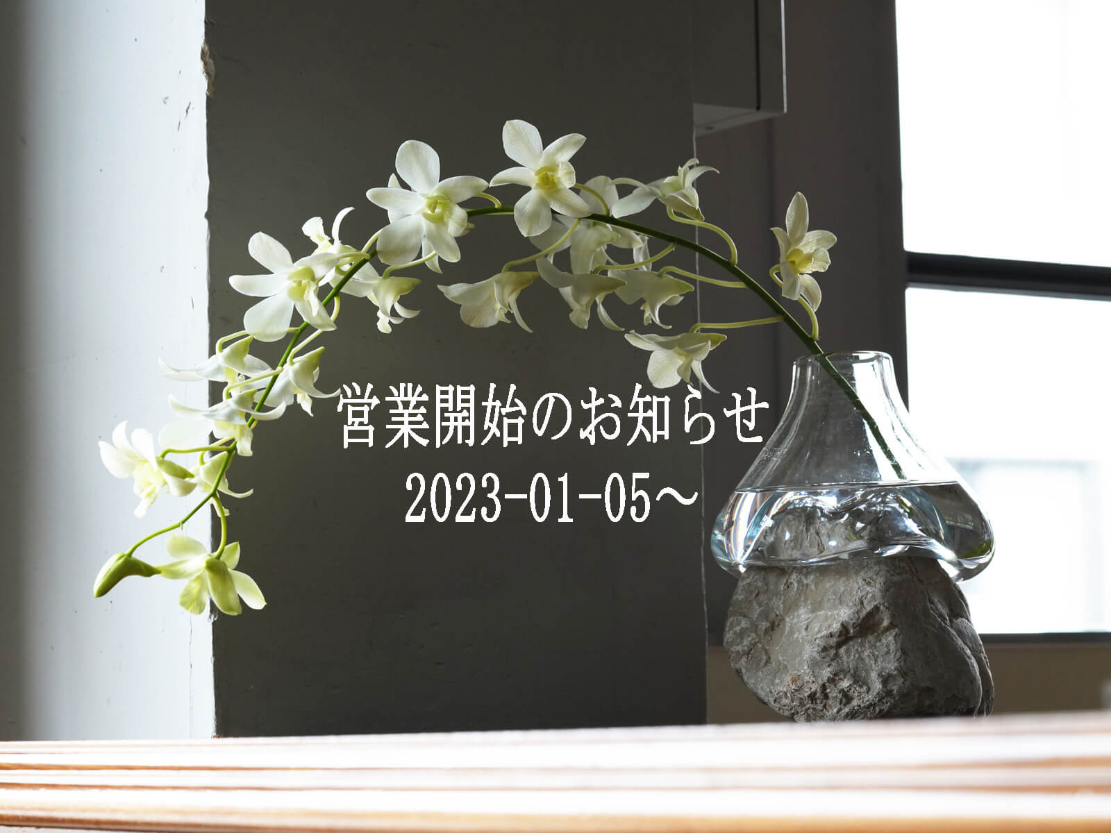 _9_https://eguchi-store.jp/ecw2507/eguchiwp/wp-content/uploads/newyearstart2023-slider.jpg