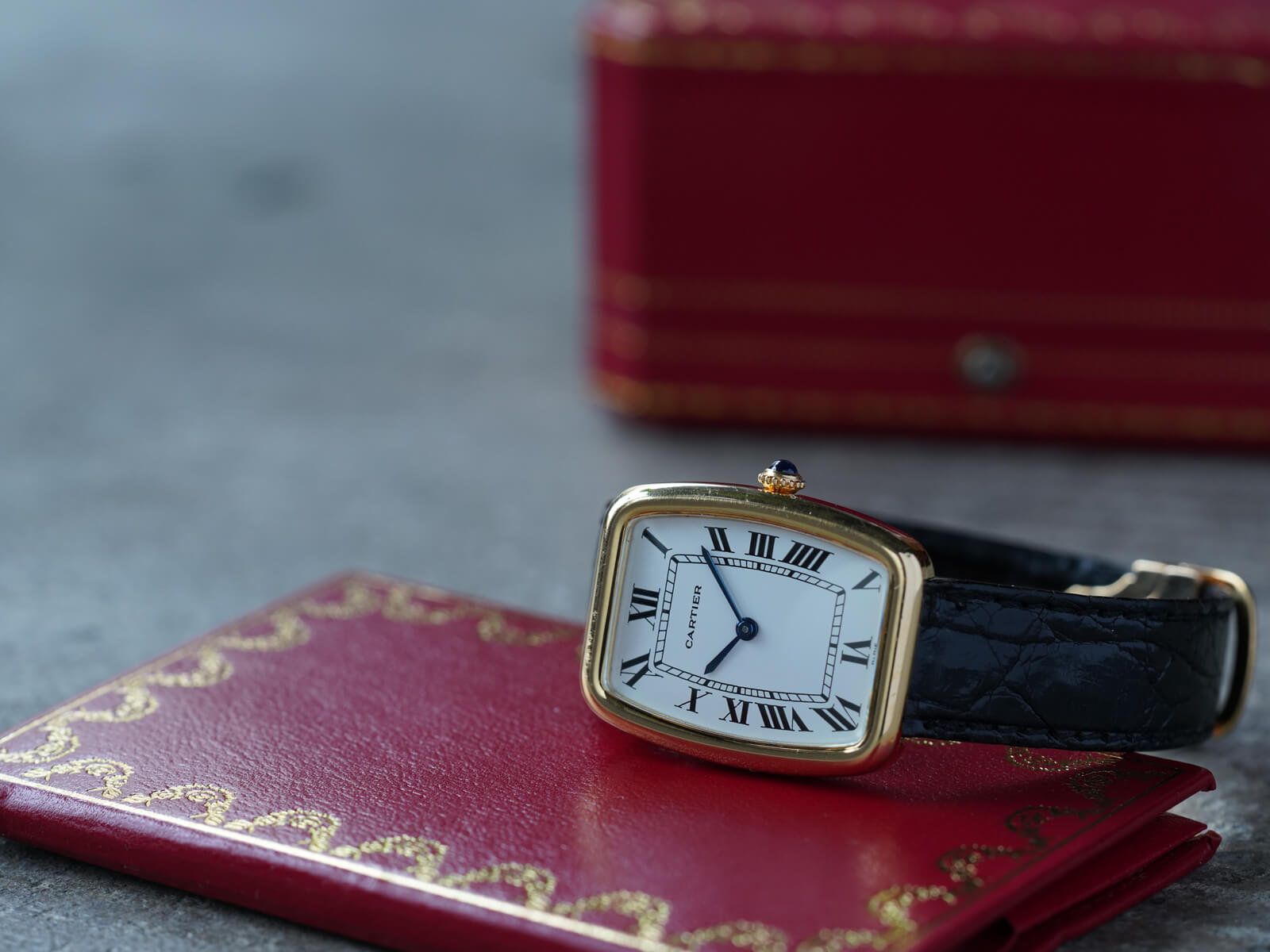 Cartier  Collection Joaillerie 2010カタログ Cartier Jewellery Collection - Cartier