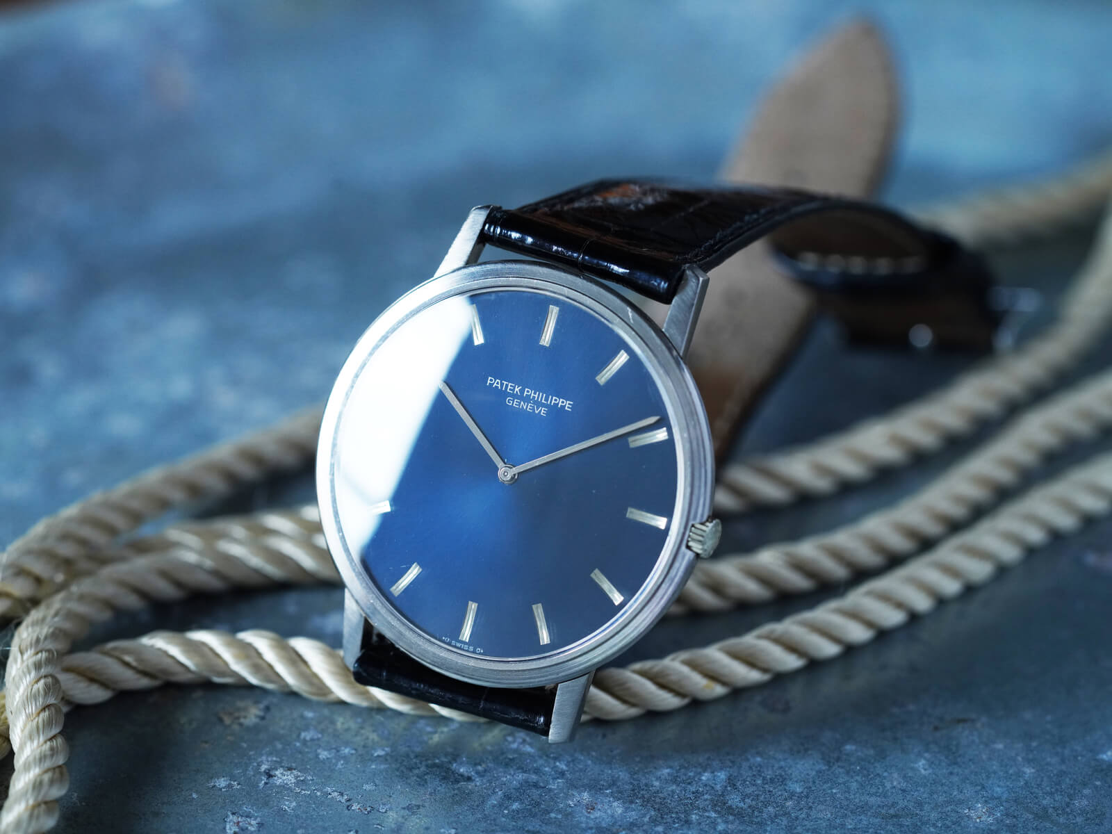 SALTIGA BLUE FIN 84 グリップ固着 オンライン直接配達 SALTIGA BLUE FIN 84 グリップ固着