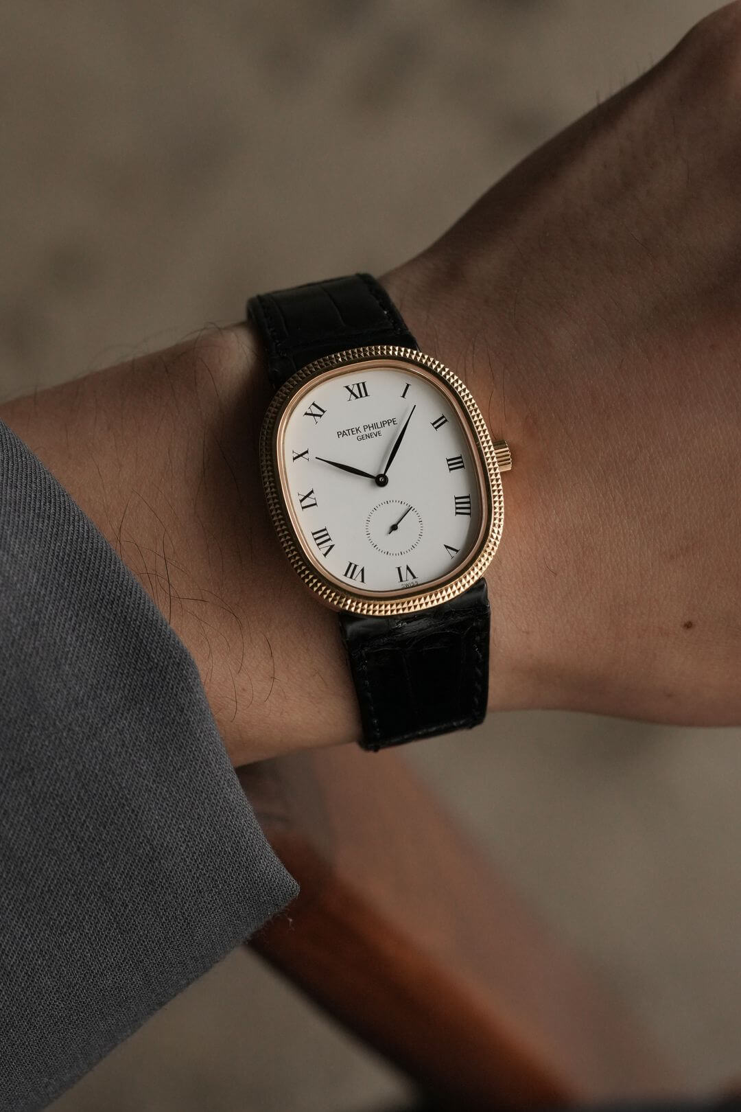 Patek Philippe ブラウンレザーケース トケマー:PATEK PHILIPPE パテック レザー製 コレクションケース