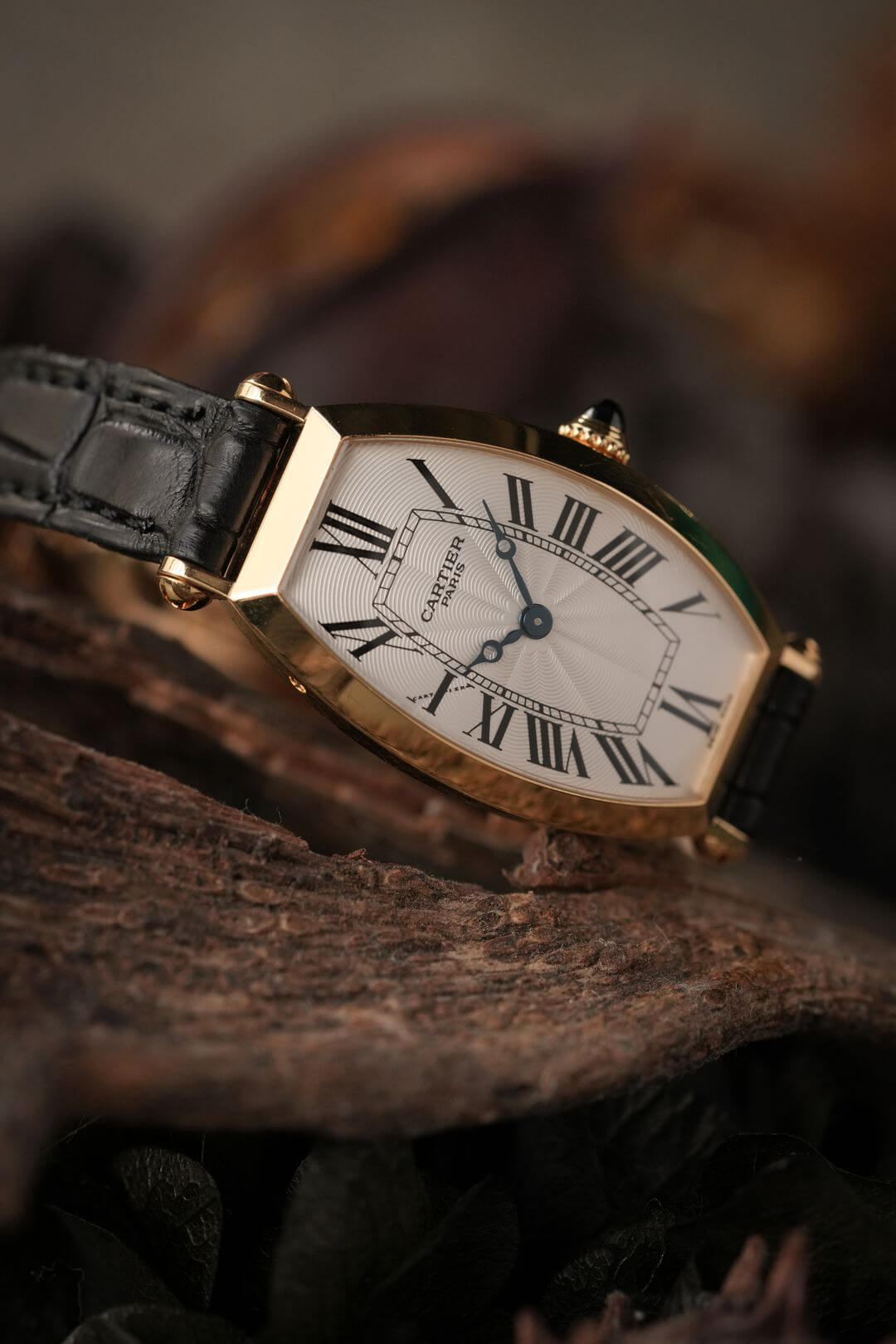 The Watch Book パテック フィリップ、ロレックス、カルティエ TWENTIETH CENTURY WRISTWATCHES】〜ロレックス、パテック
