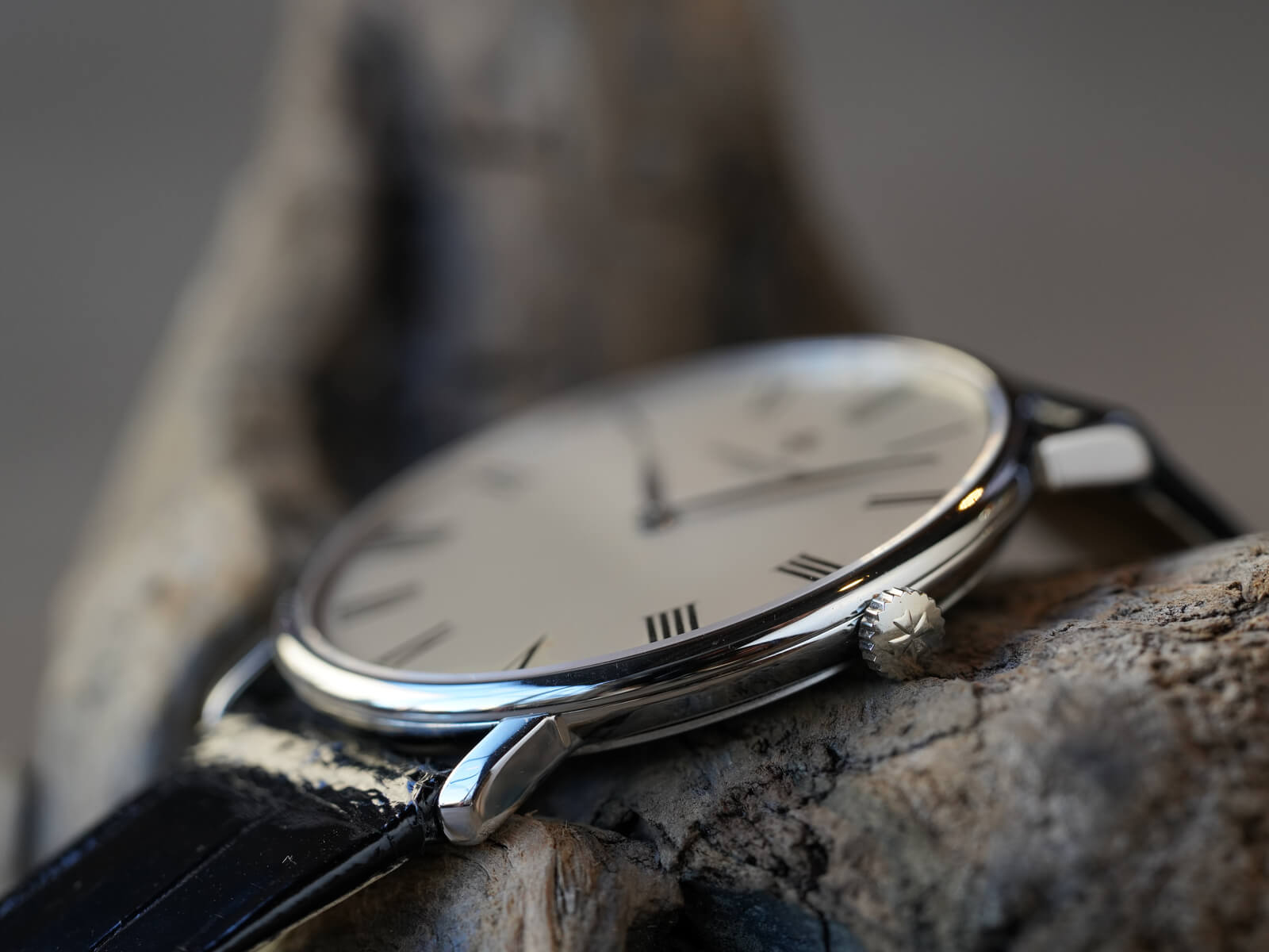 ヴァシュロン コンスタンタン 時計ケース　純正・革製 VACHERON CONSTANTIN - ヴァシュロン・コンスタンタン 時計