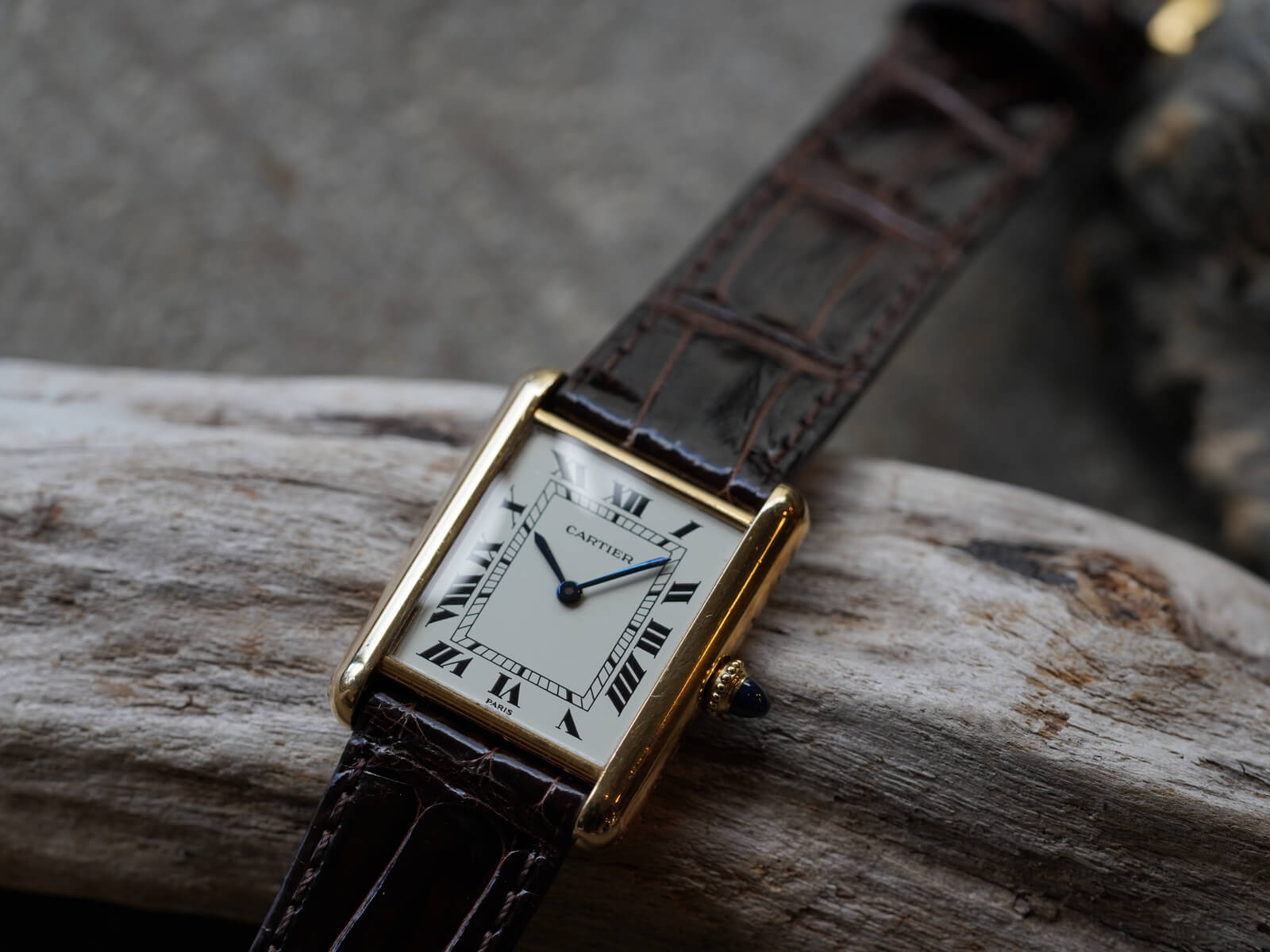 Le Temps De Cartier カルティエ　時計　非売品　専門書カタログ Cartier - カルティエCartier✨腕時計✨ウォッチカタログ☆赤色