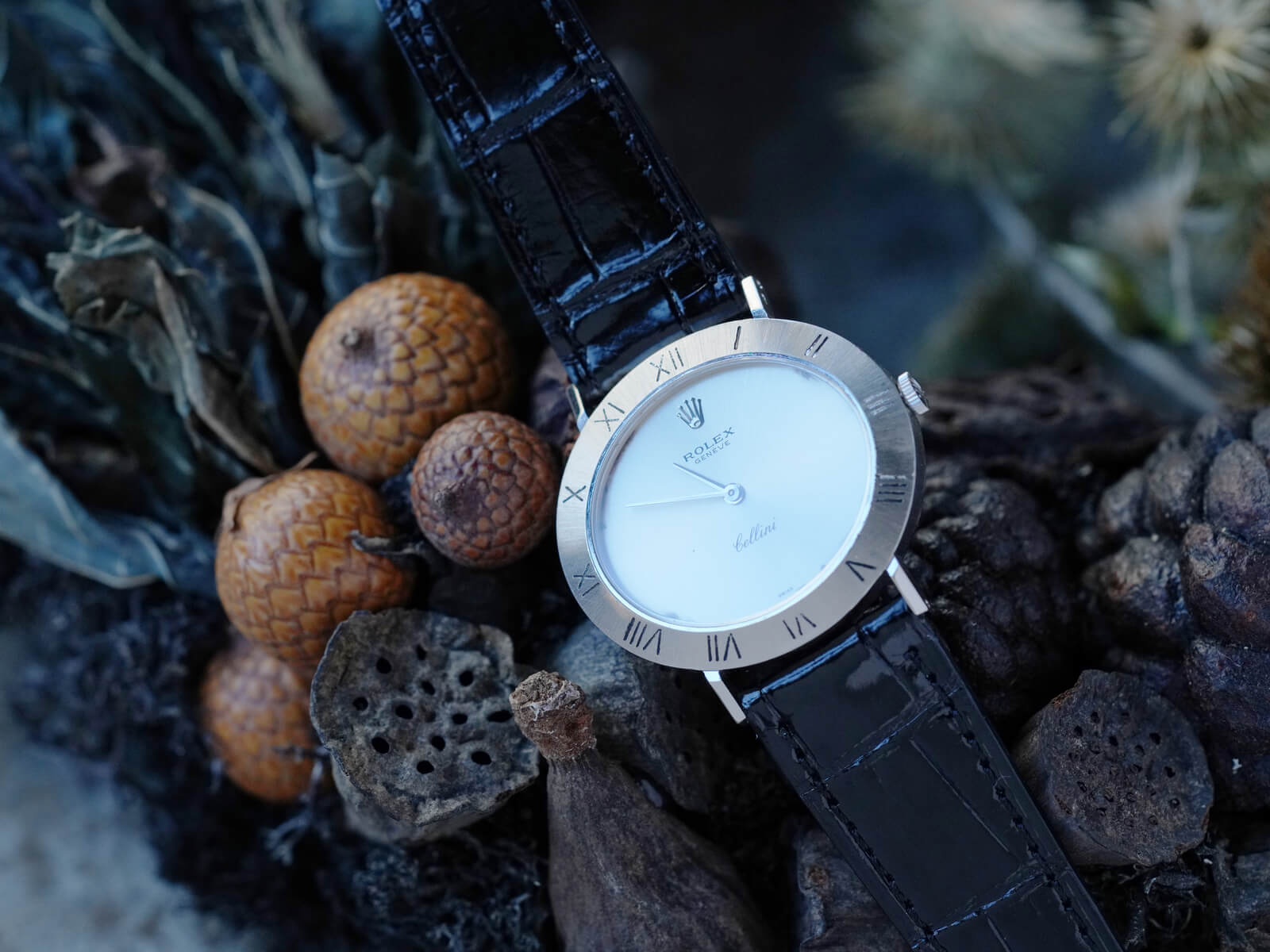 ROLEX Cellini クォーツ 腕時計 楽天市場】ROLEX ロレックス チェリーニ クォーツ 6622/8【磨き