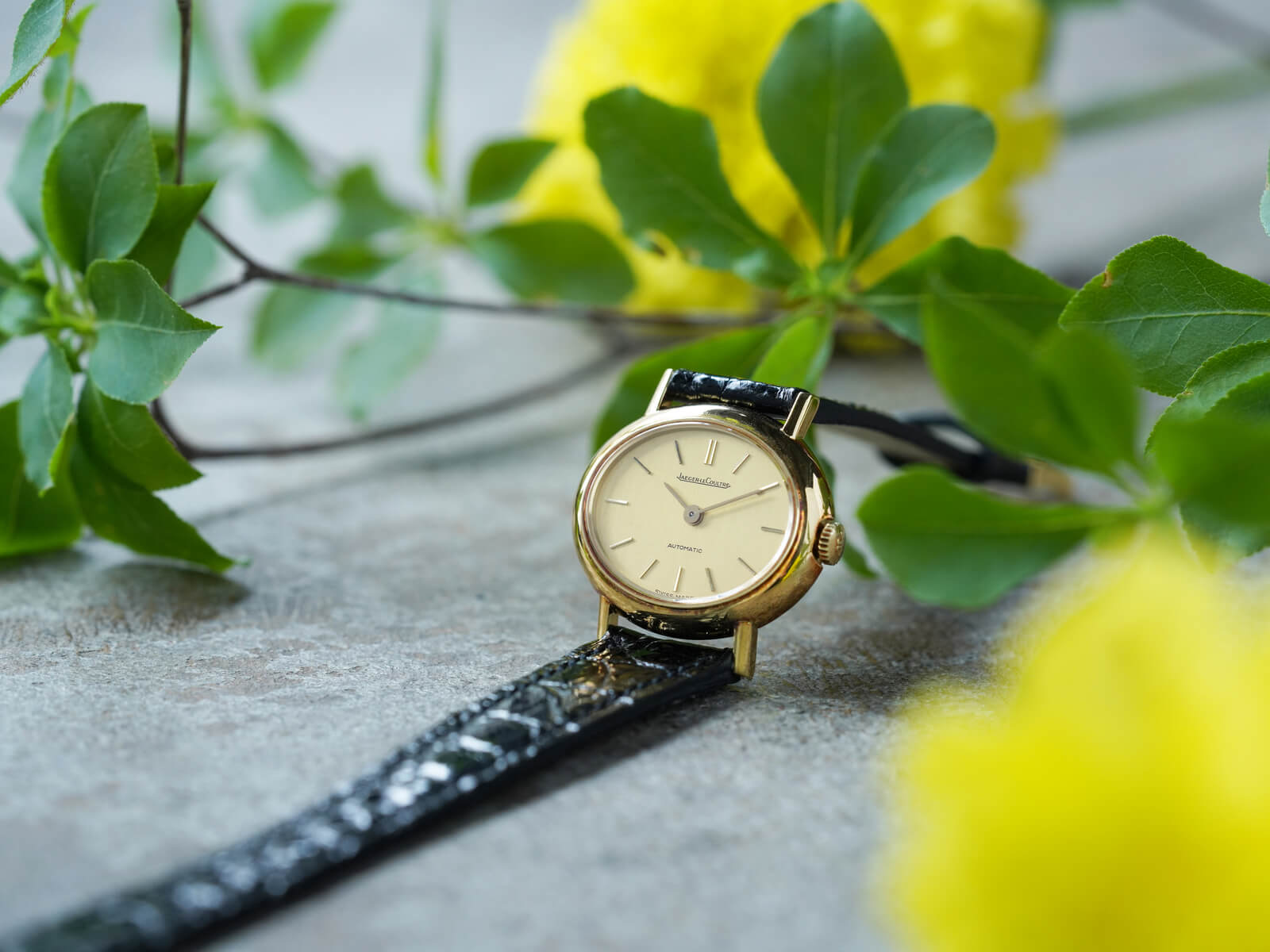 ゴールド エレガントバングル Fusion 18kt yellow gold open bangle | Georg Jensen