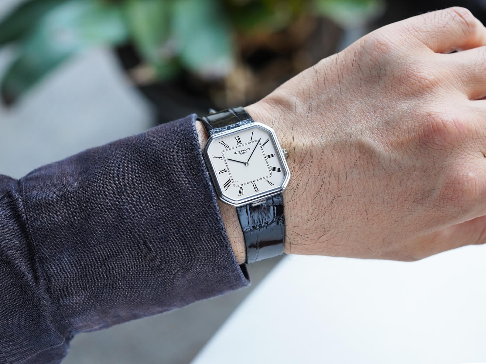 パテックフィリップ PATEK PHILIPPE 時計ケース パテックフィリップ/クッションケース/ゴールドローマンダイヤル