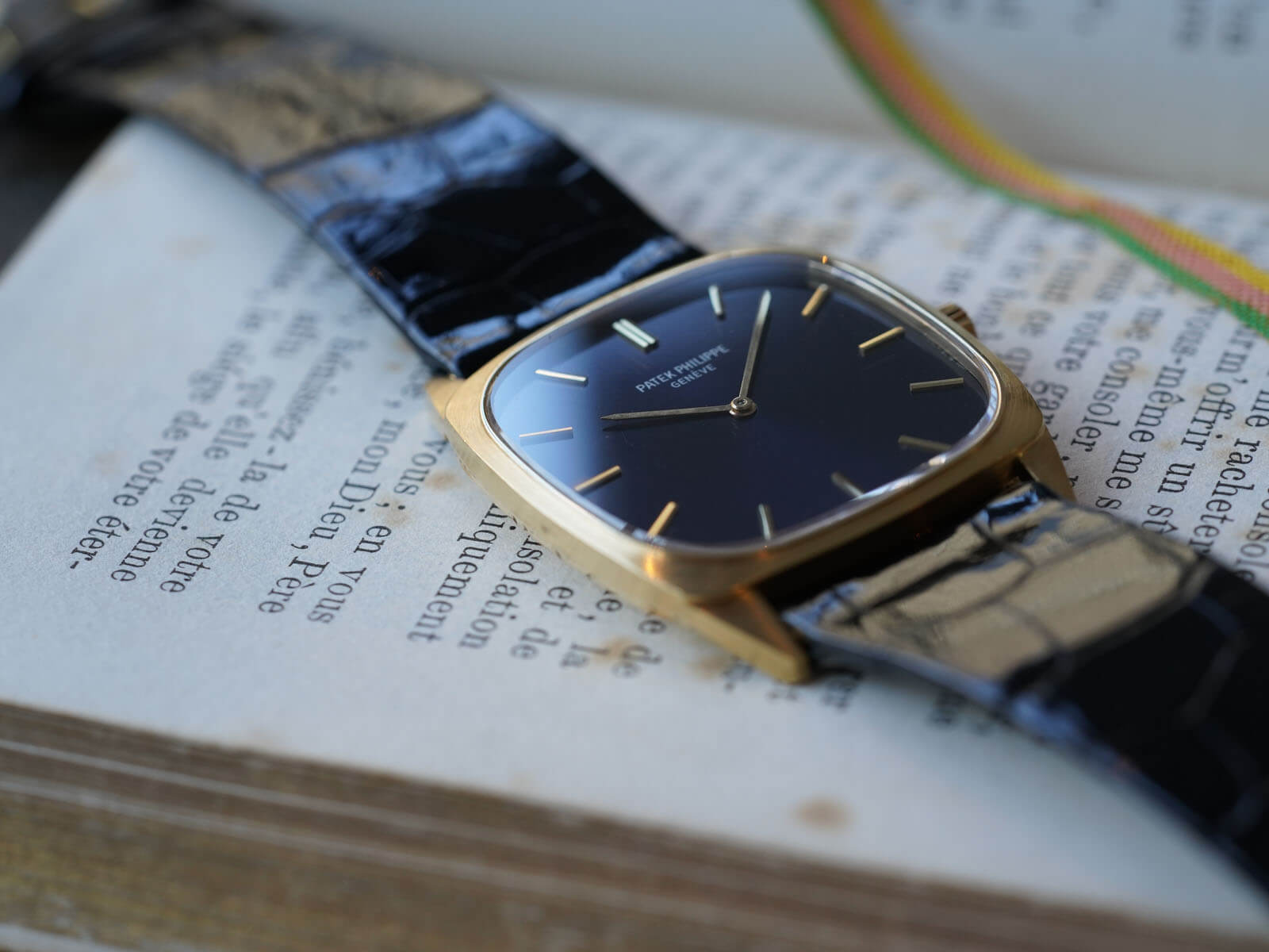 パテックフィリップ　絵皿 PATEK PHILLIPE◇パテック フィリップ 絵皿 プレート トレイ