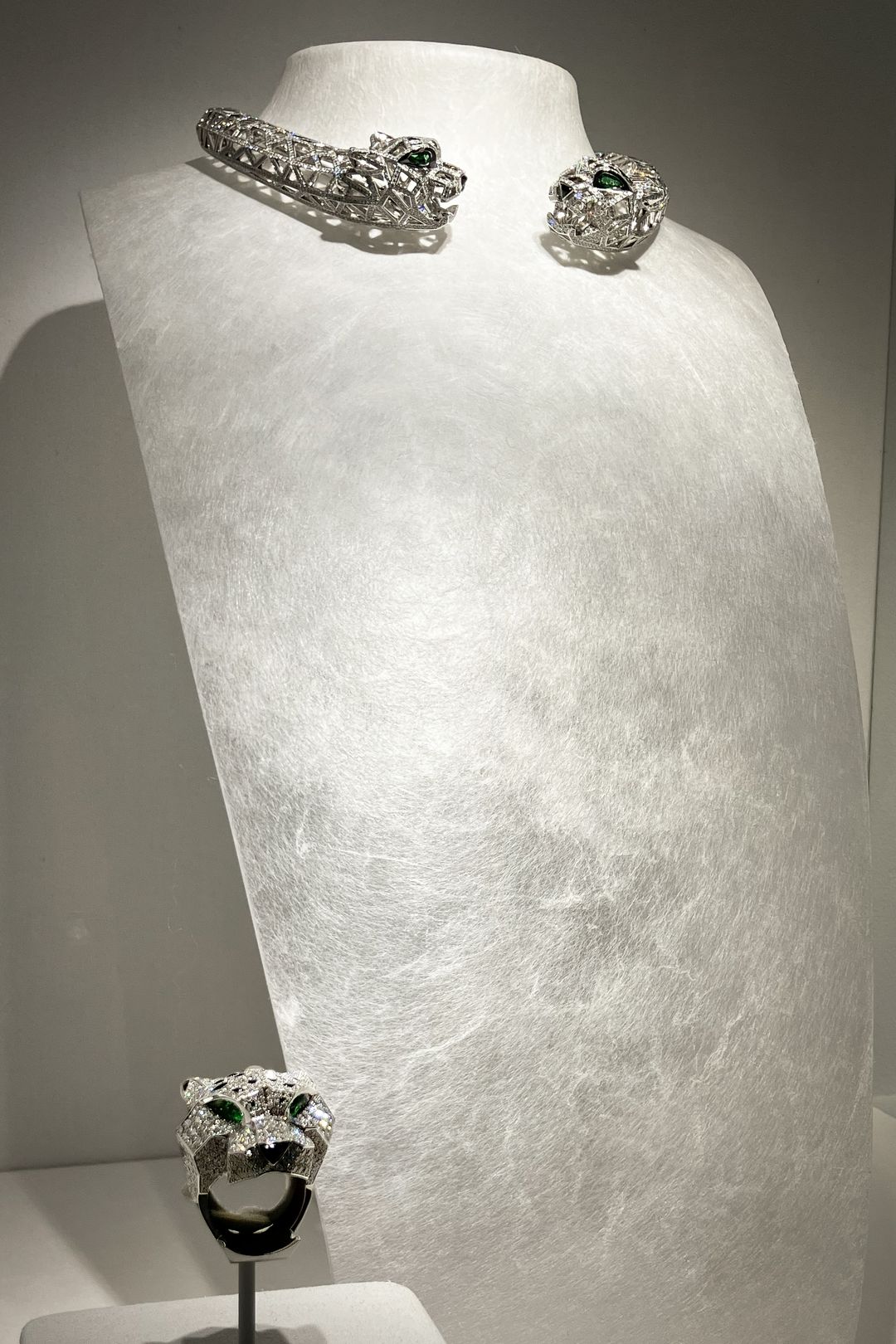 Cartier : INTO THE WILD