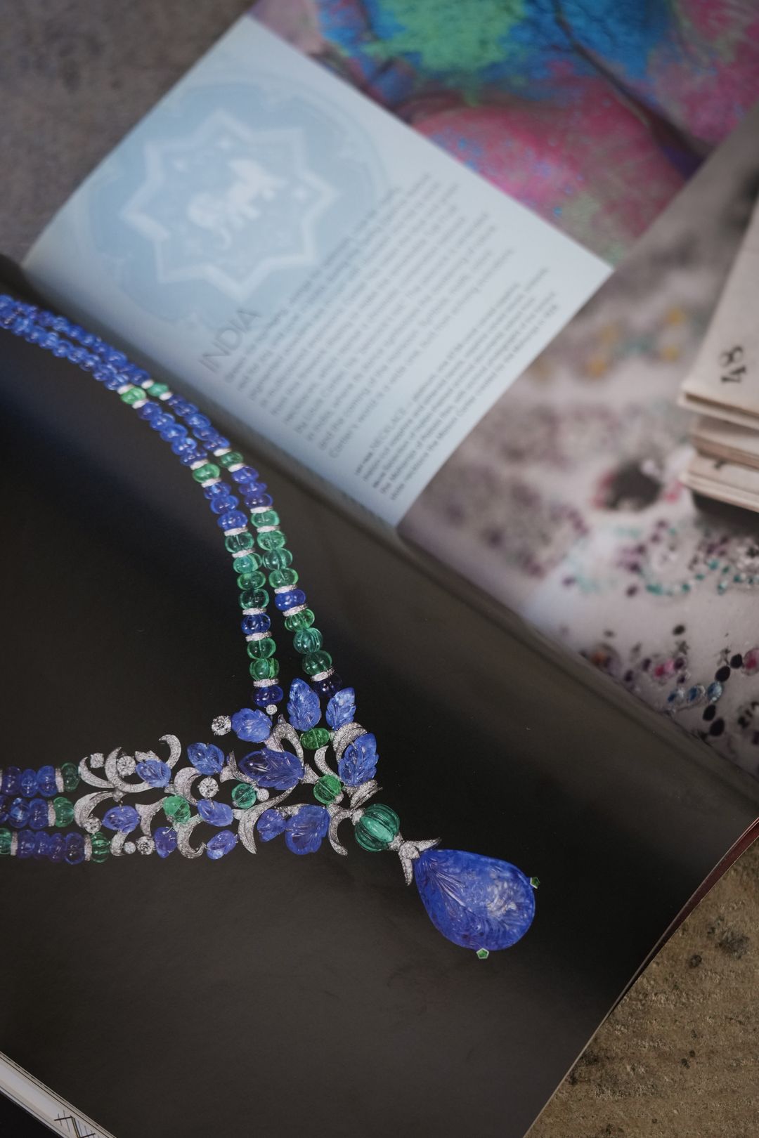 Cartier : INTO THE WILD