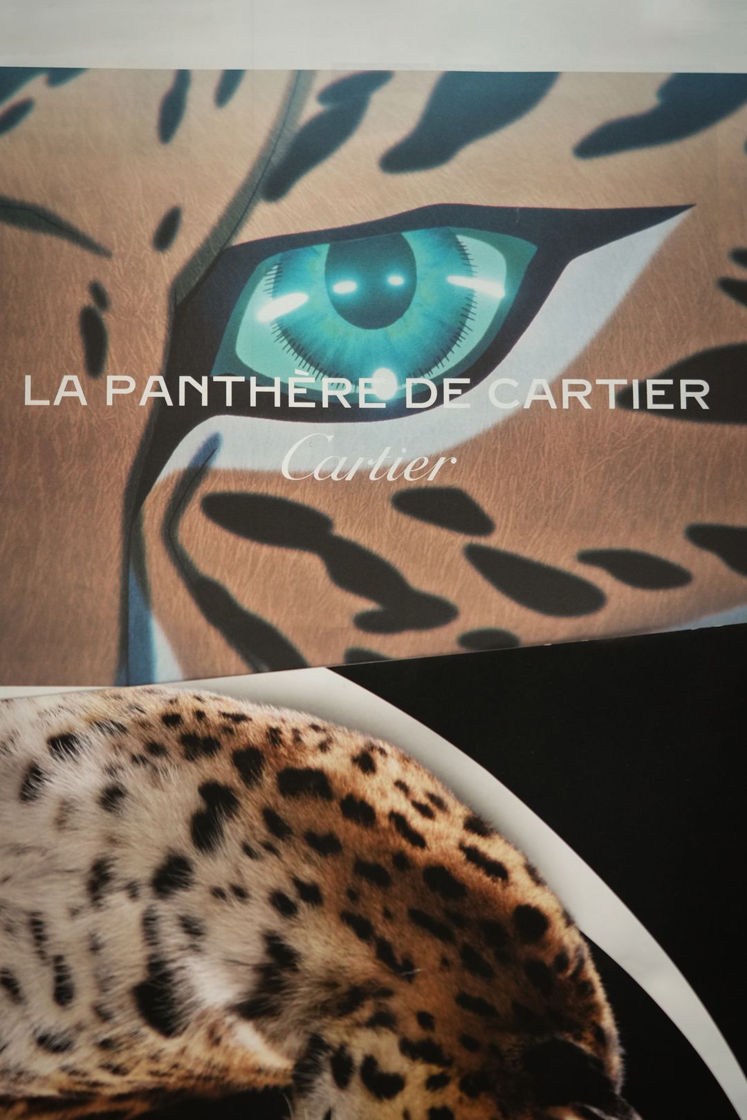 Cartier : INTO THE WILD