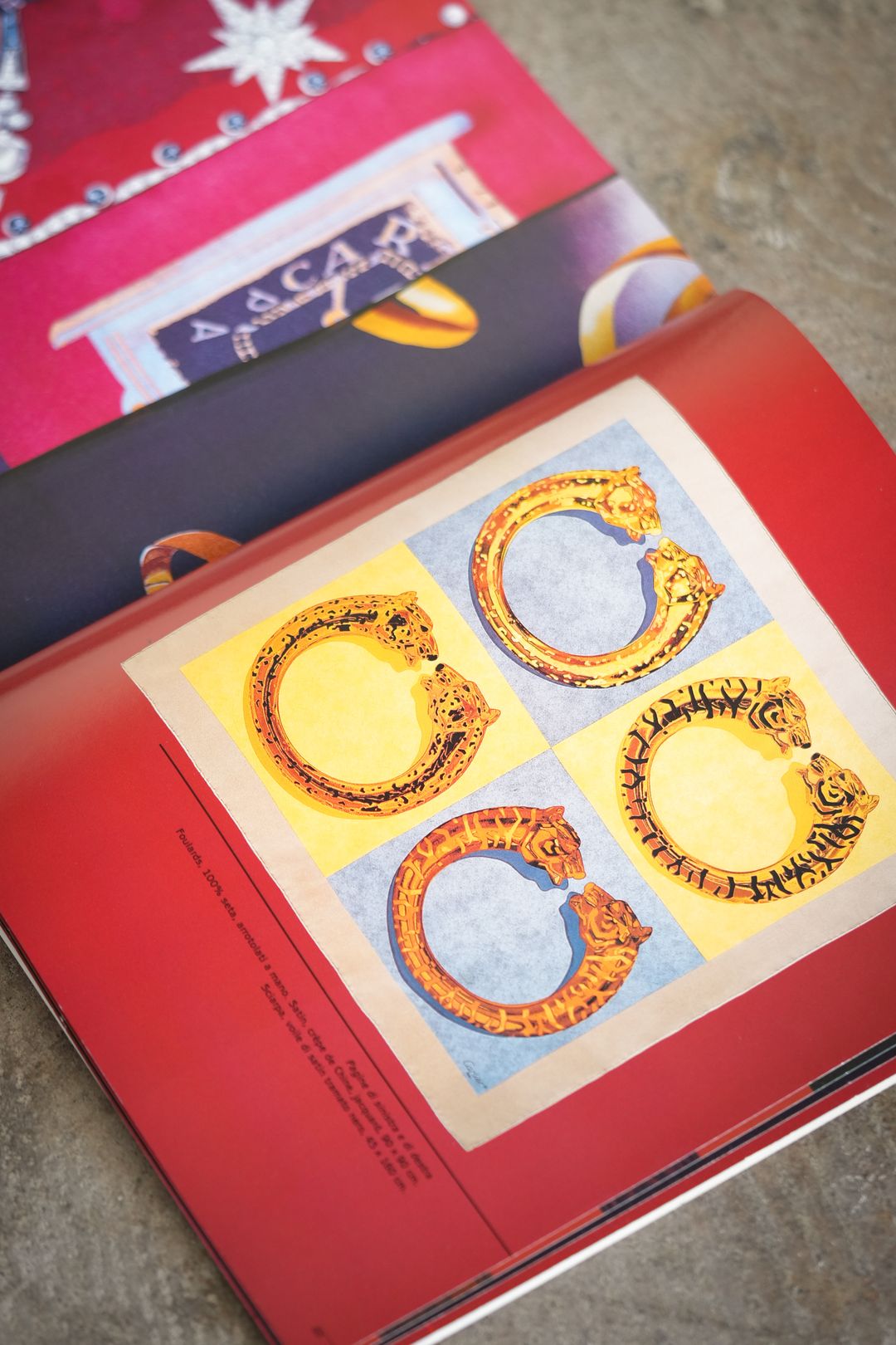 Cartier : INTO THE WILD