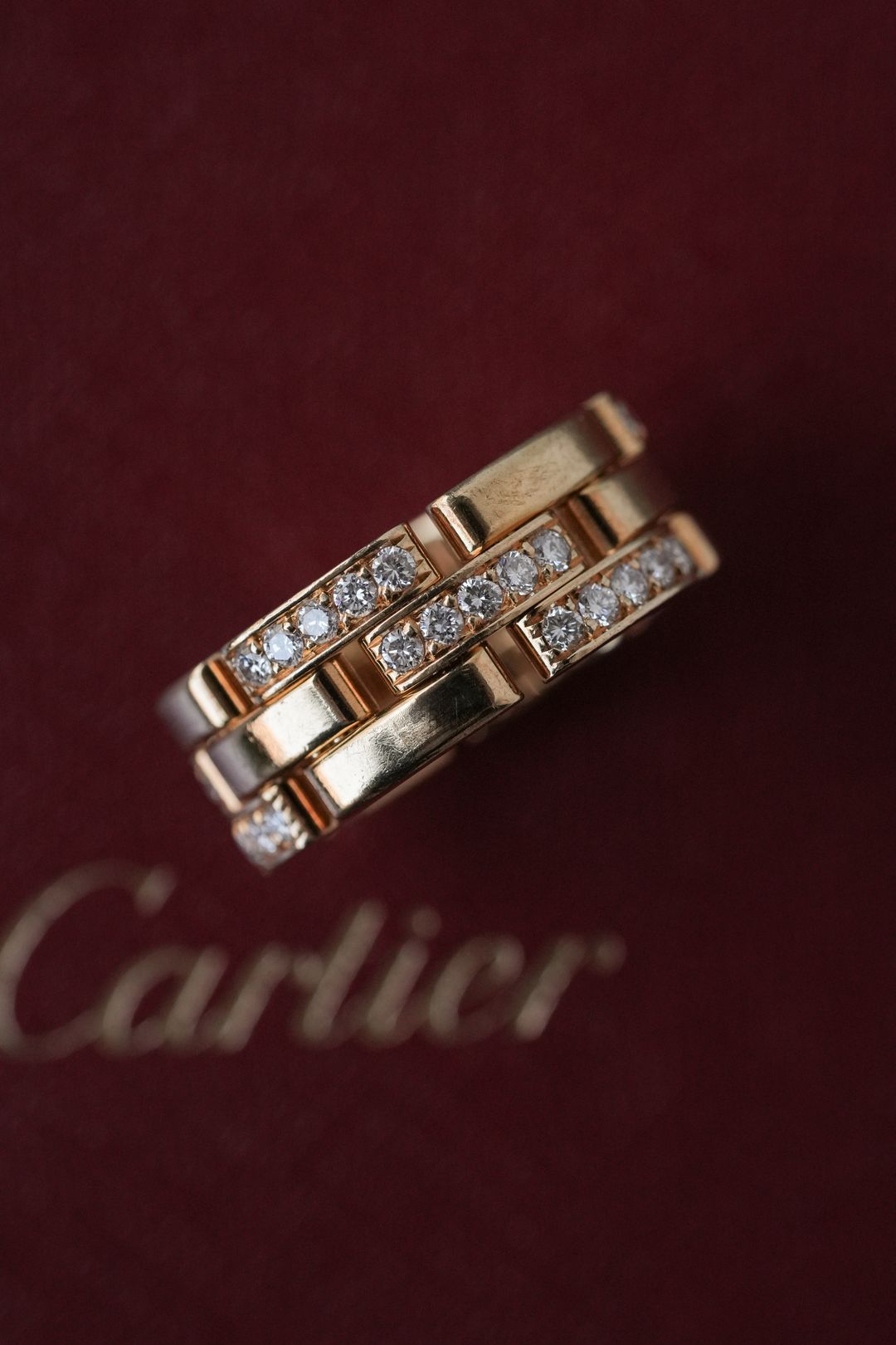 Cartier : INTO THE WILD