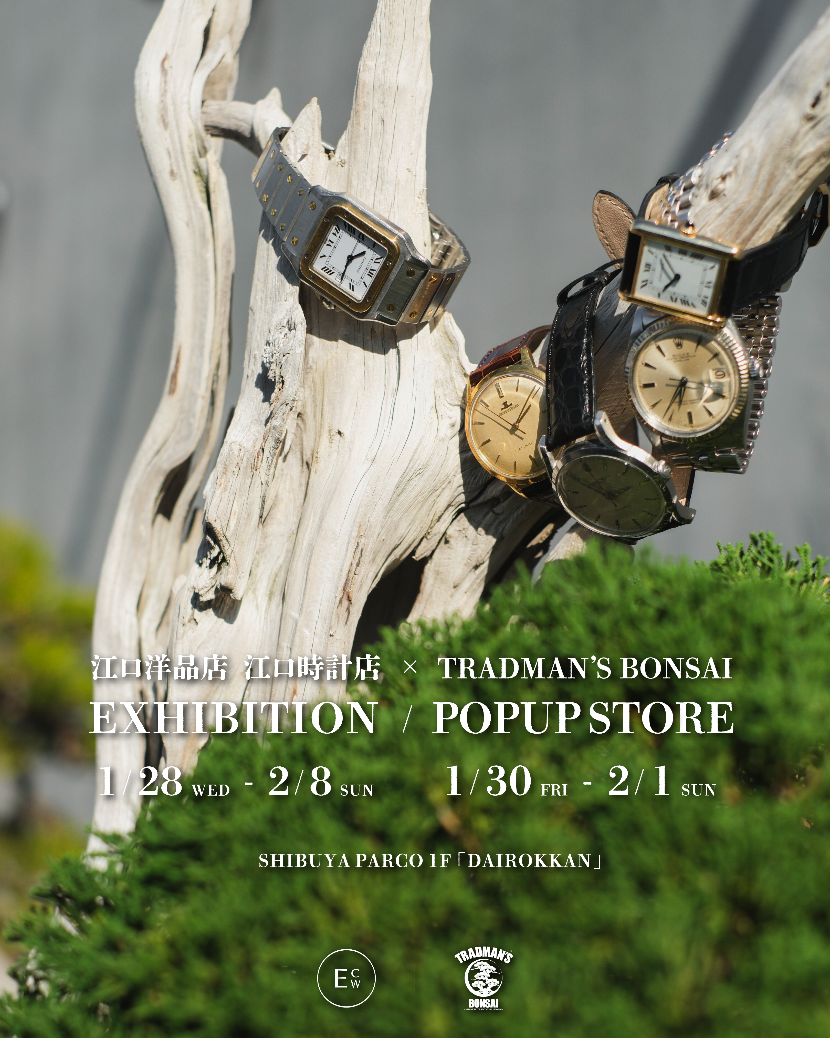 TRADMAN’S BONSAI EXHIBITION / POPUP STORE 2026.1.28 (Wed) - 2.8 (Sun)