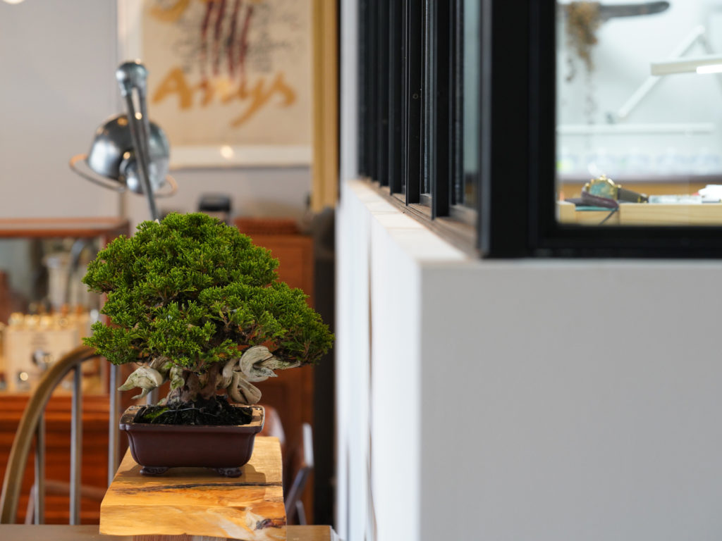 _530_https://eguchi-store.jp/_BK/wp-content/uploads/190719bonsai-02-1024x768.jpg