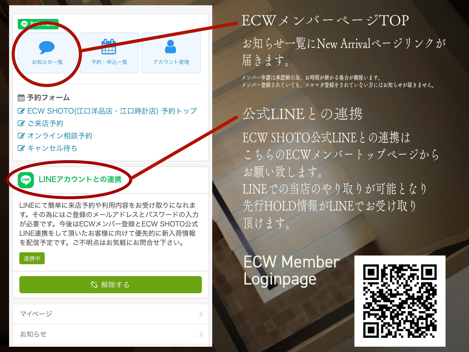 ECWメンバー向けSTOCK LISTの先行リリースについて