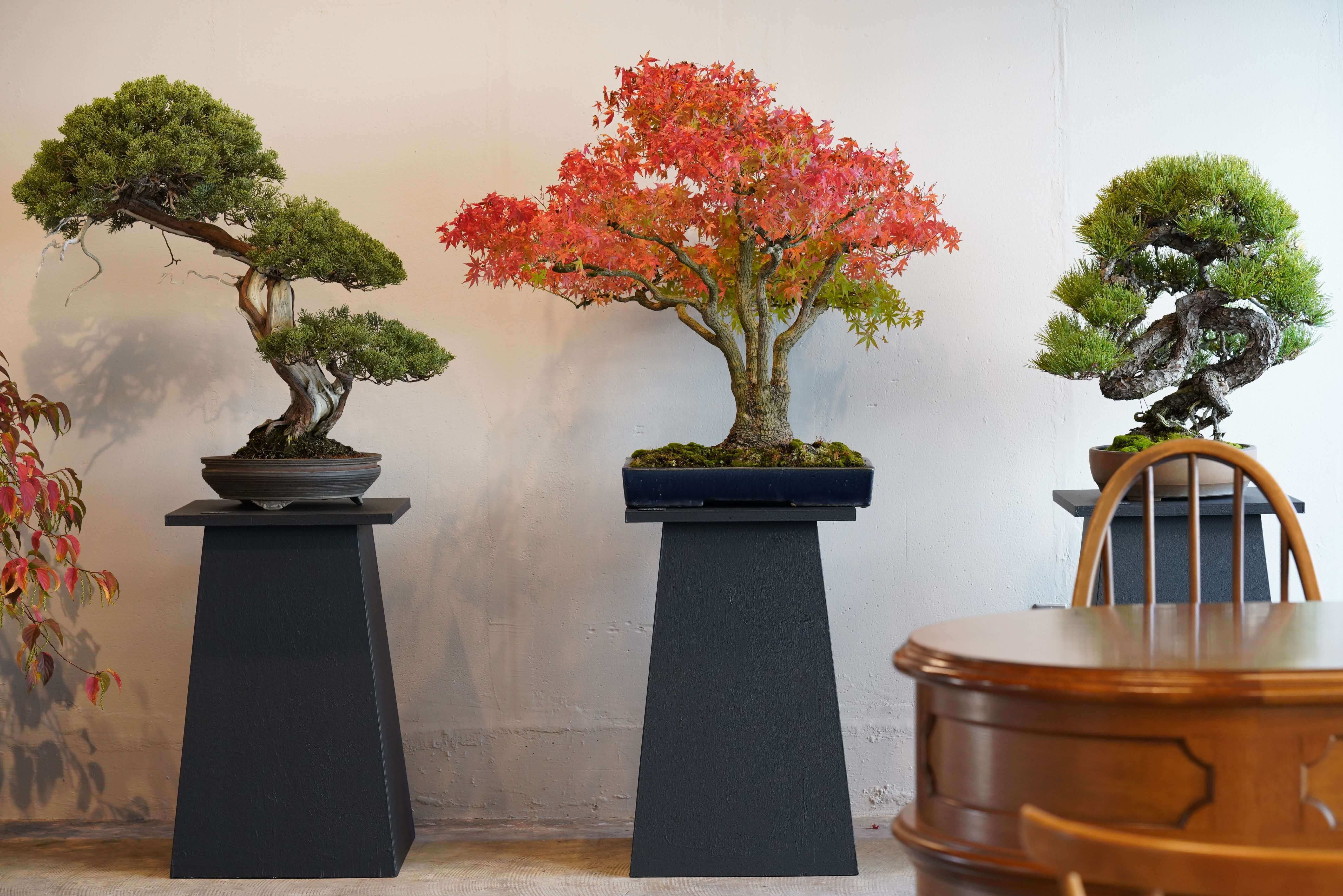 _796_https://eguchi-store.jp/_BK/wp-content/uploads/DSC01530.jpg