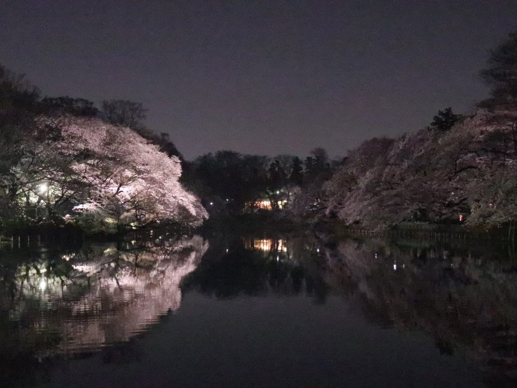 _540_https://eguchi-store.jp/_BK/wp-content/uploads/IMG_3748-1024x768.jpg
